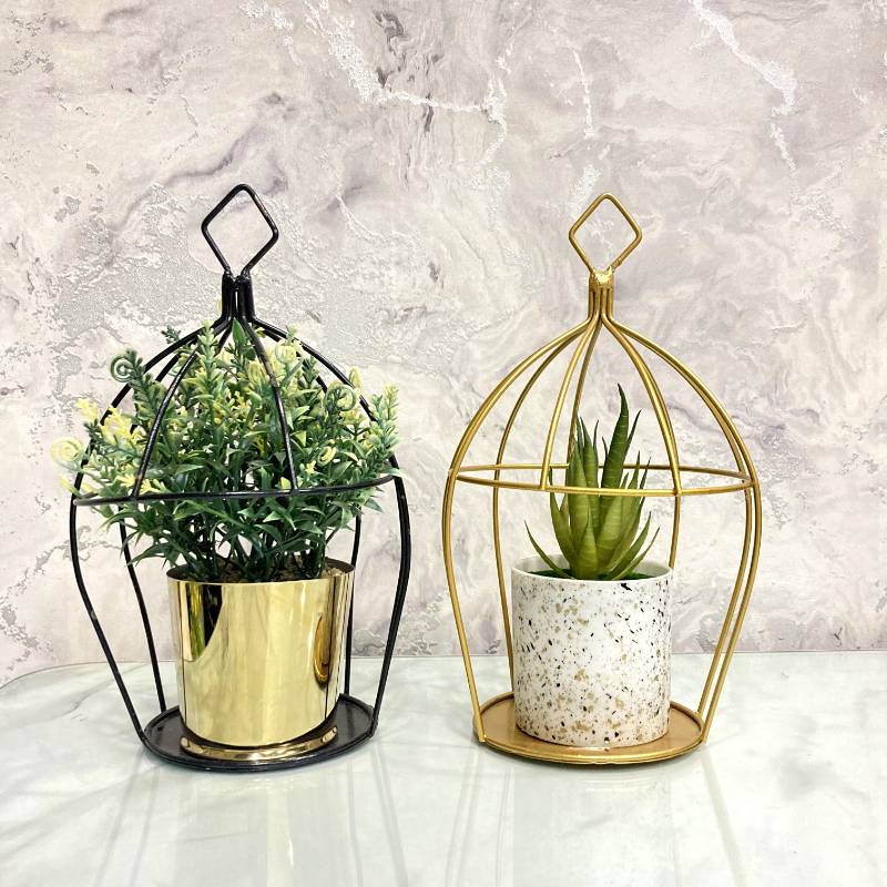 (TPM-384) Cage Bonzai M