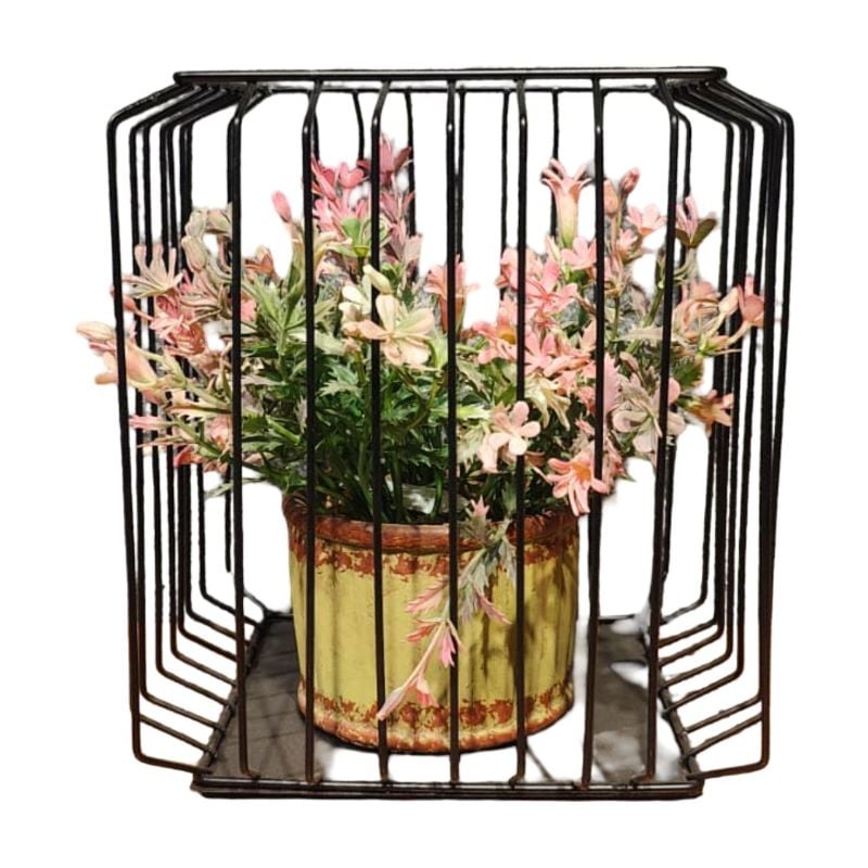 (TPM-240) Square Bonzai Cage Large