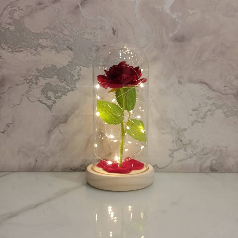 (TPM-524) Bell Jar Size-M