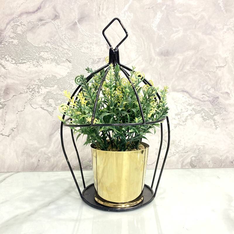(TPM-384) Cage Bonzai M