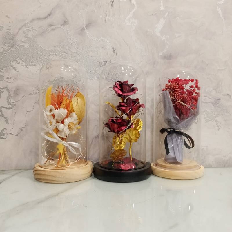 (TPM-524) Bell Jar Size-M