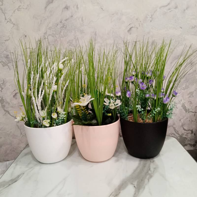 (TPM-426) Plastic Pot Size- XXL