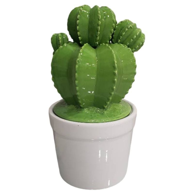 (TPM-054) Cactus Lidded Pot