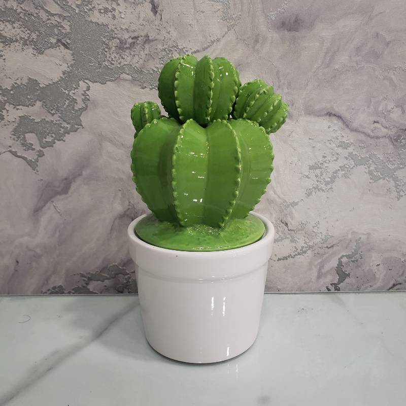 (TPM-054) Cactus Lidded Pot