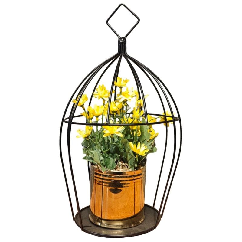 (TPM-385) Cage Bonzai L