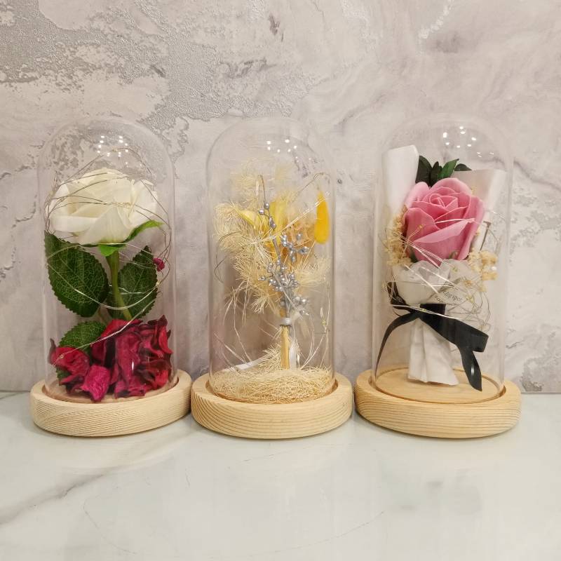 (TPM-523) Bell Jar Size-S