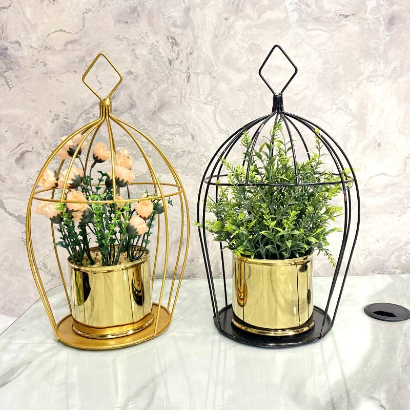 (TPM-385) Cage Bonzai L