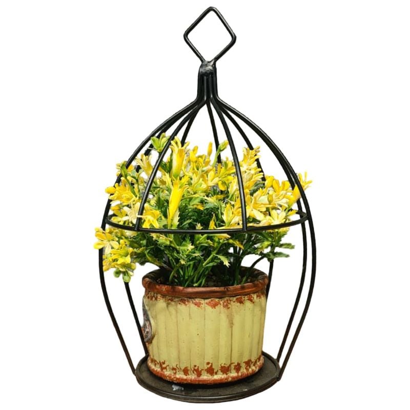 (TPM-384) Cage Bonzai M