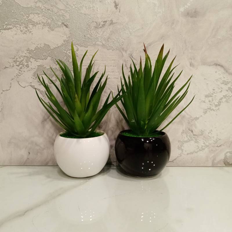 (TPM-572) Circle Base Pot Bonzai