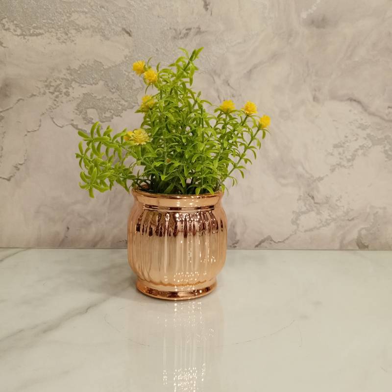 (TPM-489) Ceramic Pot