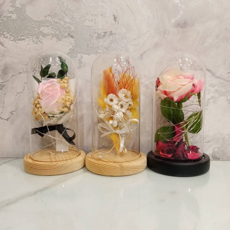 (TPM-523) Bell Jar Size-S
