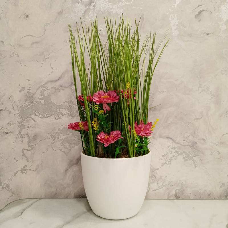 (TPM-425) Plastic Pot Size- XL