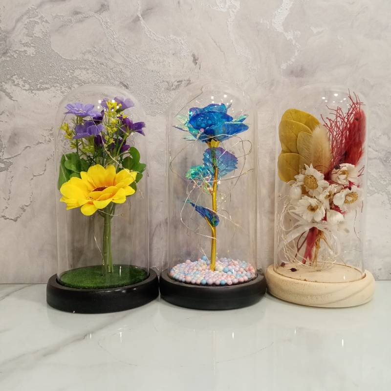 (TPM-524) Bell Jar Size-M
