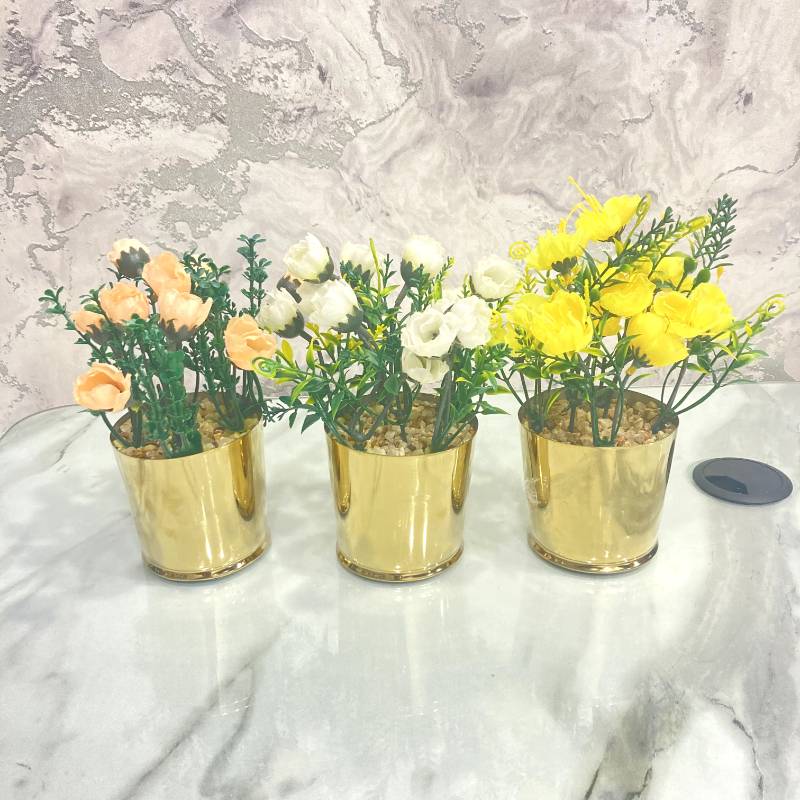 (TPM-339) Pot Golden Ss