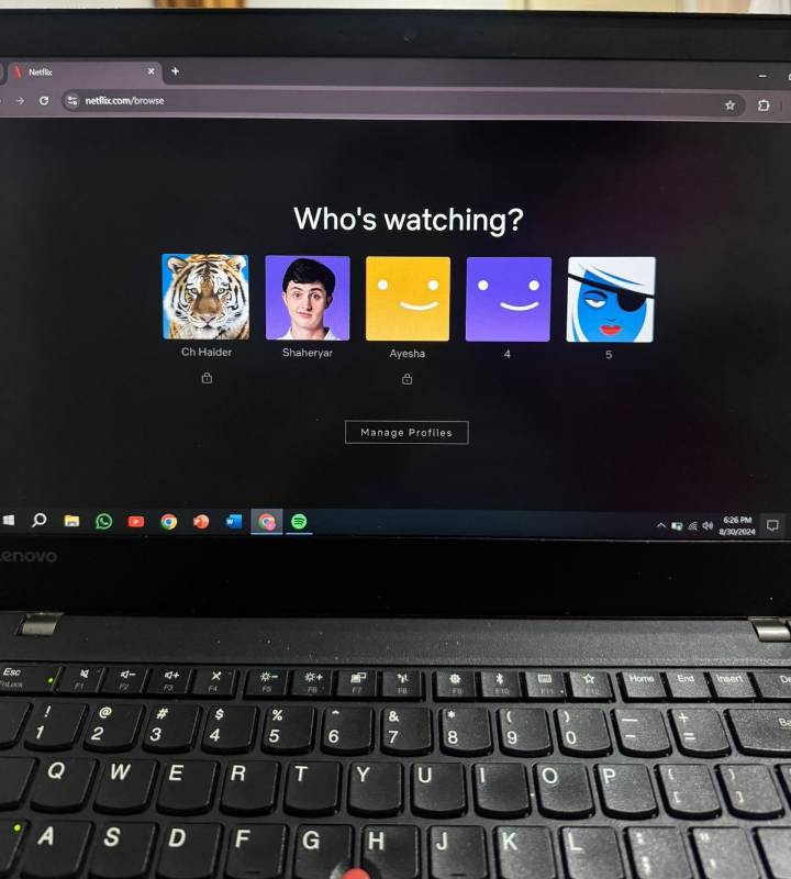 Netflix Screen Private