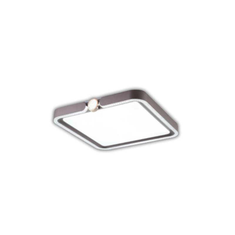 WS220227 LED CEILING LIGHT