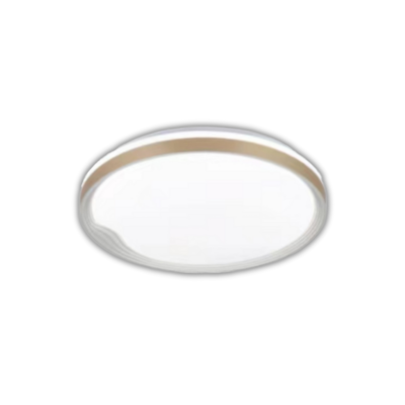 YRH5805 LED CEILING LIGHT