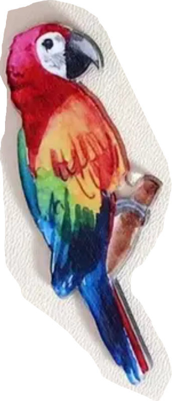 Pin Acrílico  Guacamayo