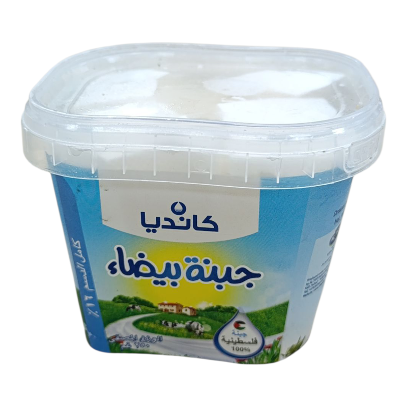 جبنة بيضاء كانديا 250 غم