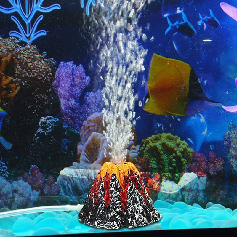 HIASAN AQUARIUM GUNUNG BERAPI