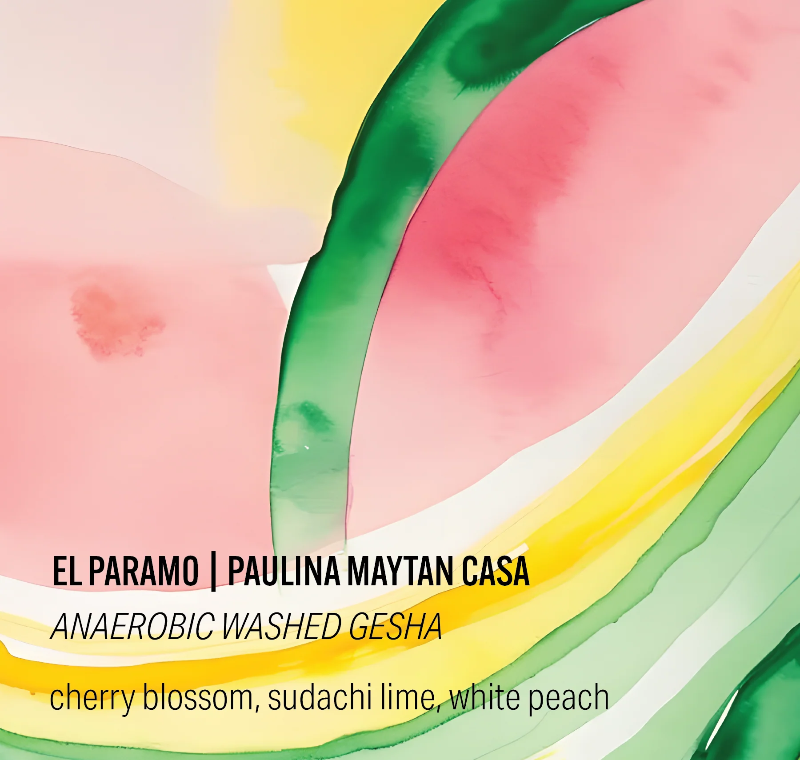 Paulina Maytan Casa Inkawasi #6 - Anaerobic Washed Gesha - Finca El Paramo - Peru