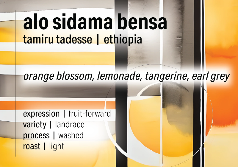 Tamiru Tadesse Washed Landrace - Alo - Ethiopia