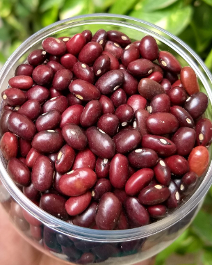 Mosh 100% Prm Sortex Rajma Lal - 1Kg