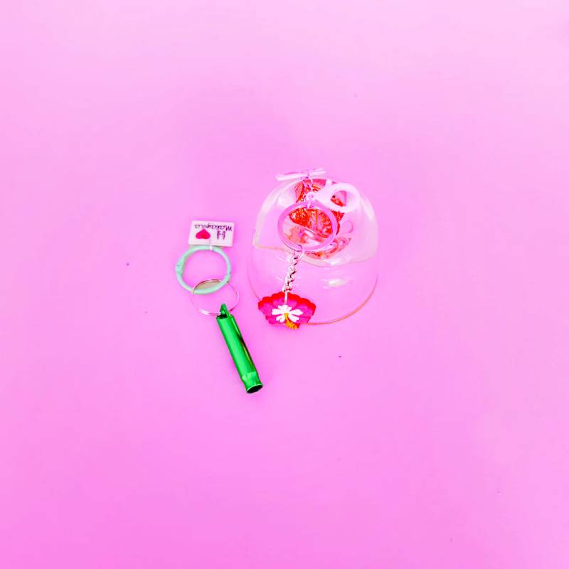 Travel Whistle (Metal) 4 Colours