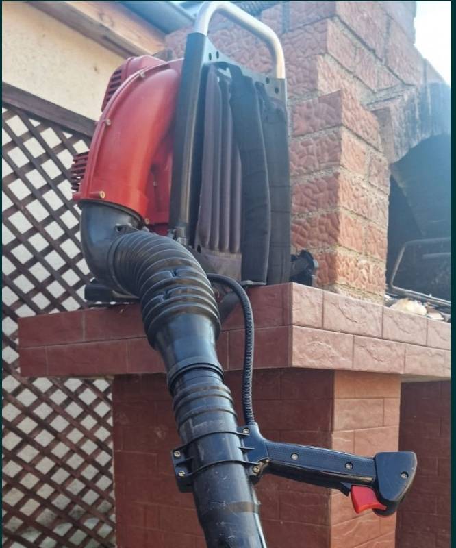 Suflanta Dolmar
