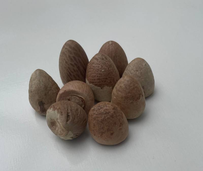 Supari/Betel Puja Nuts in poojan samgri (9 pieces)
