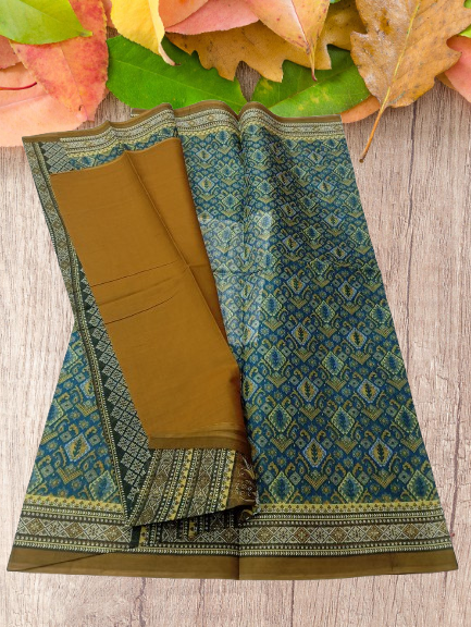 RG B plus saree -BPL004