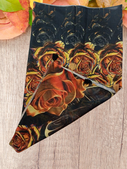 RG Chandni Cotton Saree-RNS004