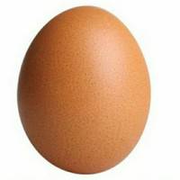 Telur Ayam 1 Biji