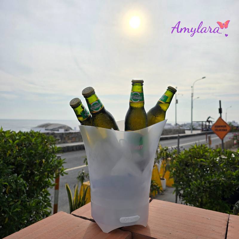 Champagnera / Hielera musical LED
