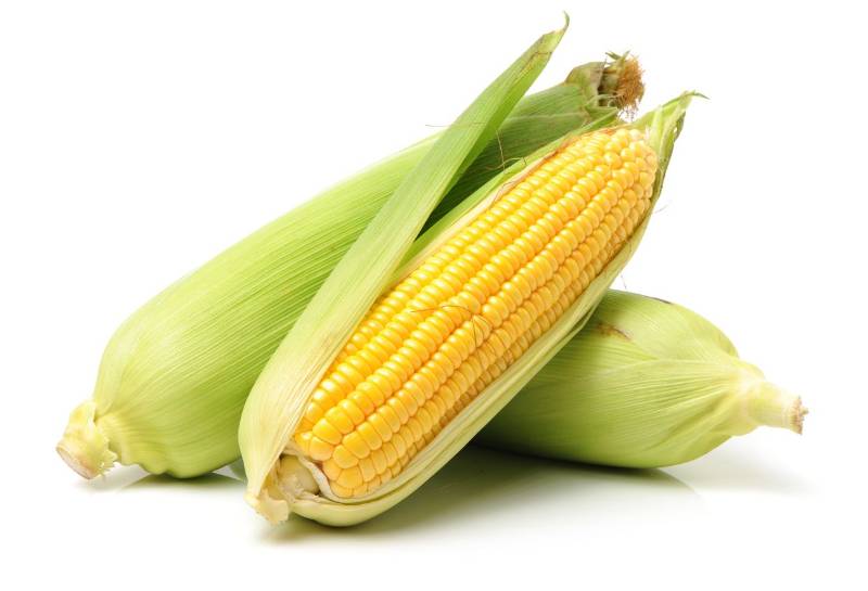 Jagung Manis