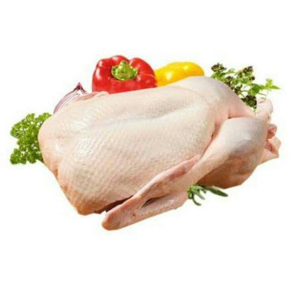 Bebek Frozen