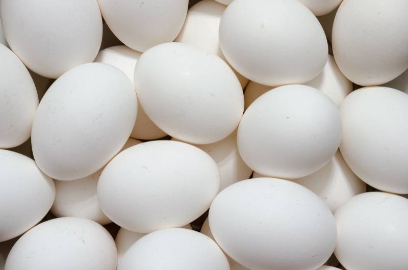 15's White Eggs