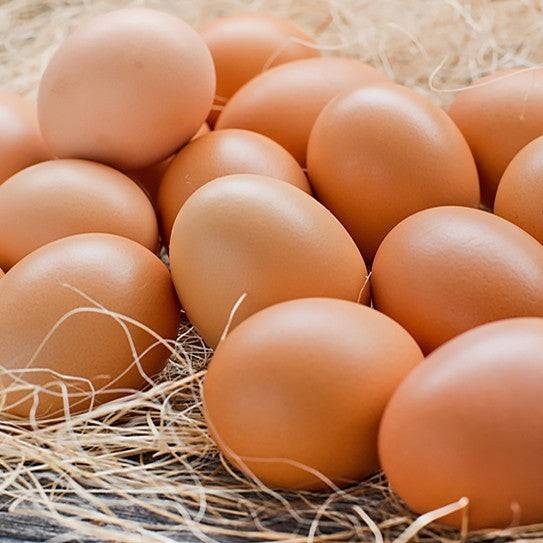 15's Brown Eggs