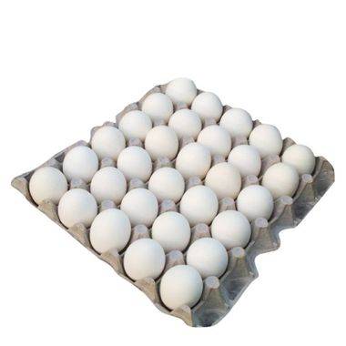 30's White Eggs
