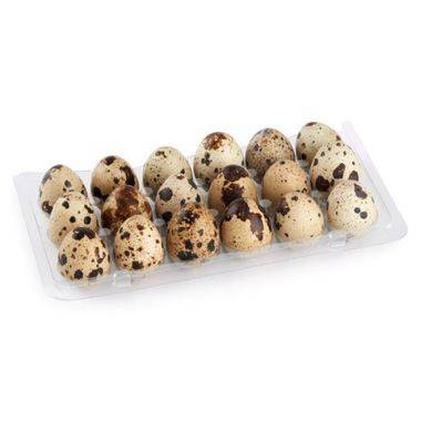 18's Quail Eggs