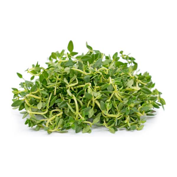 Thyme
