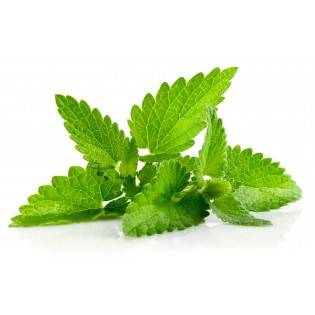 mint leaves