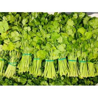 Coriander leaves