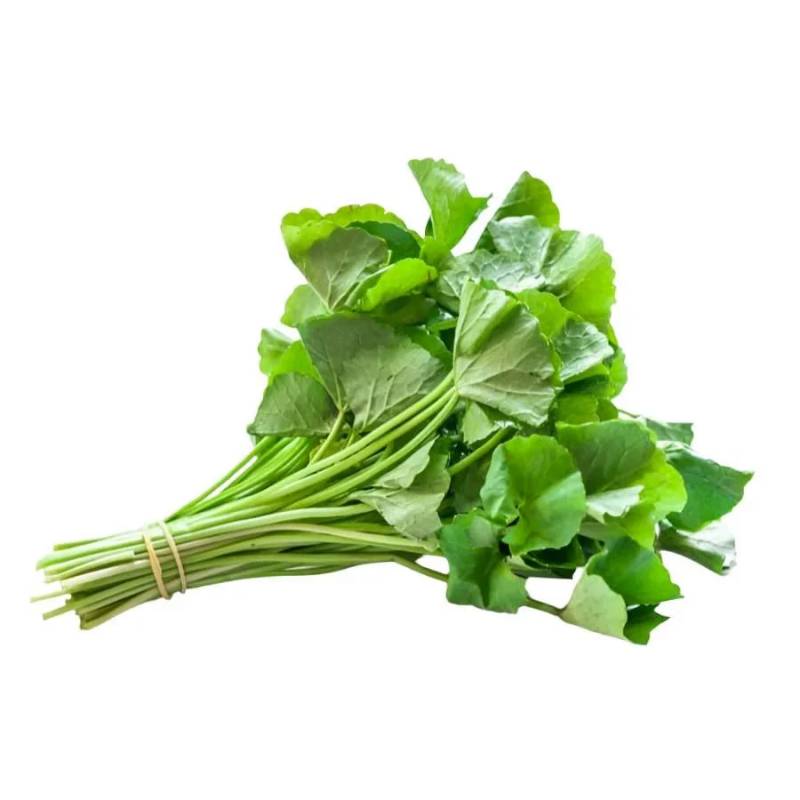 Gongura Leaves prepack