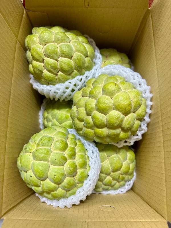Custard Apple