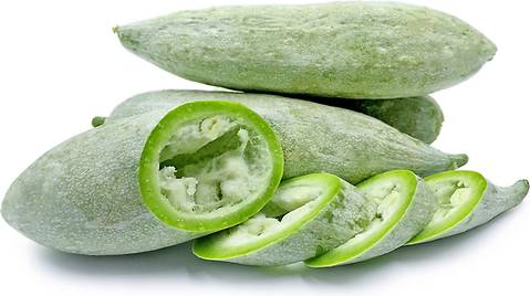 Snake Gourd White