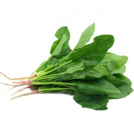 Espinaca