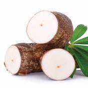 Yuca