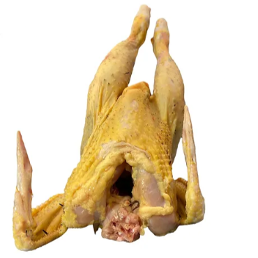Pollo Criollo