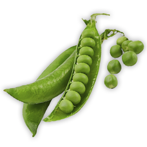 Arveja